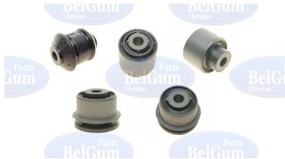 Belgum BGKIT-22