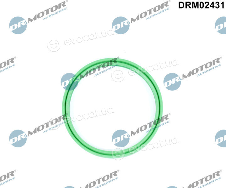 Dr. Motor DRM02431