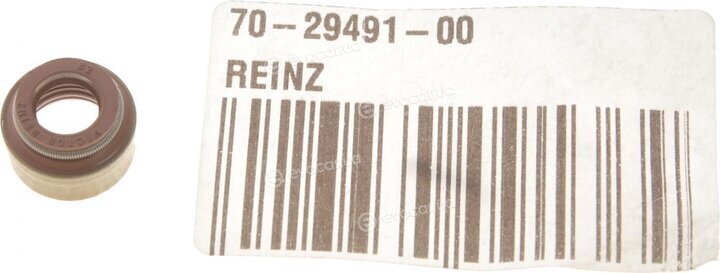 Victor Reinz 70-29491-00