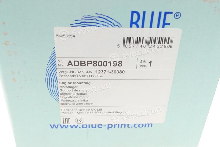 Blue Print ADBP800198