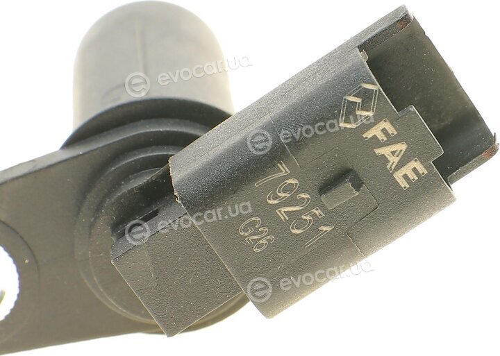 FAE 79251