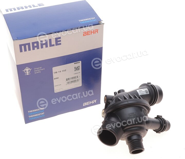 Mahle TM 19 102