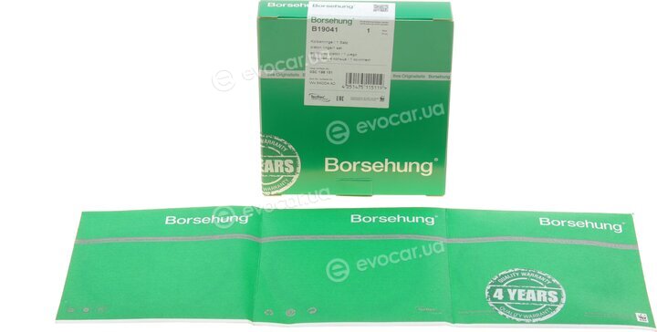 Borsehung B19041