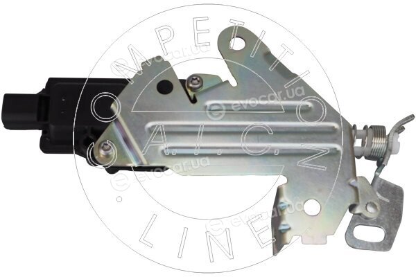 AIC 58197