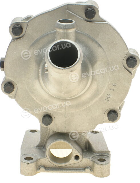 Hepu P246