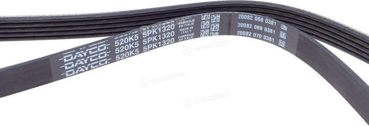 Dayco 5PK1320