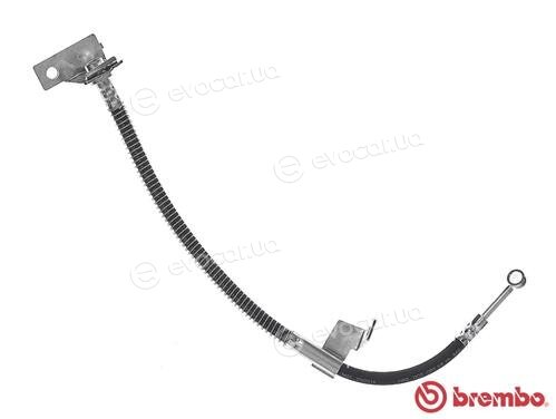 Brembo T 30 061