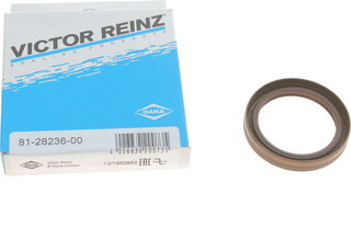 Victor Reinz 81-28236-00