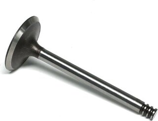 Gunes 6017