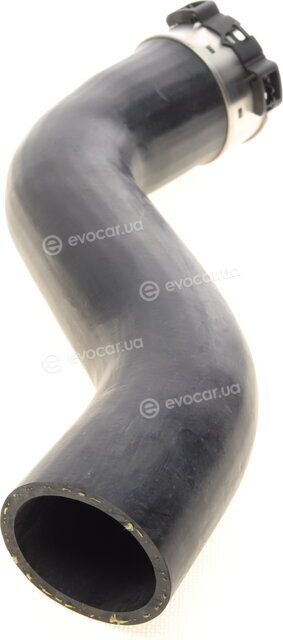 Solgy 114263