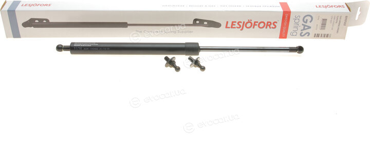 Lesjofors 8092502