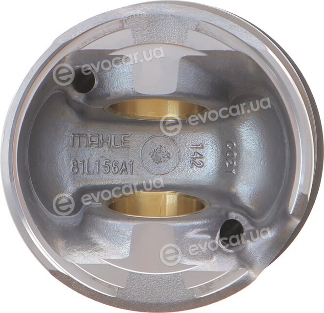 Mahle 028 PI 00100 001