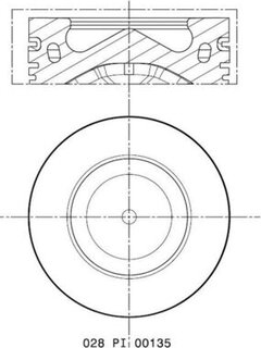 Mahle 028 PI 00135 002