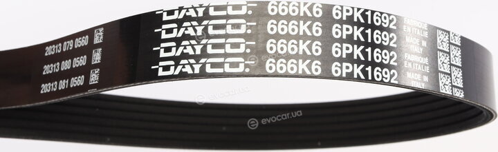 Dayco KPV401