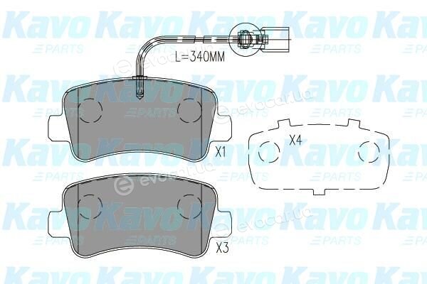 Kavo BP-6629