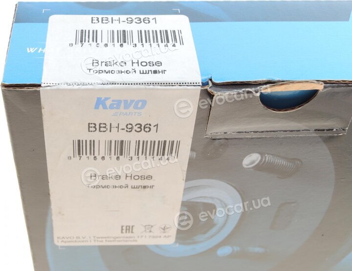 Kavo BBH-9361