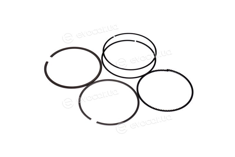 Mahle 081 RS 00101 0N0