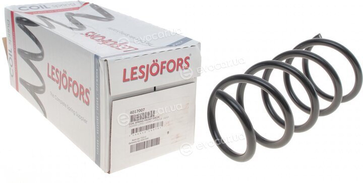 Lesjofors 4017007