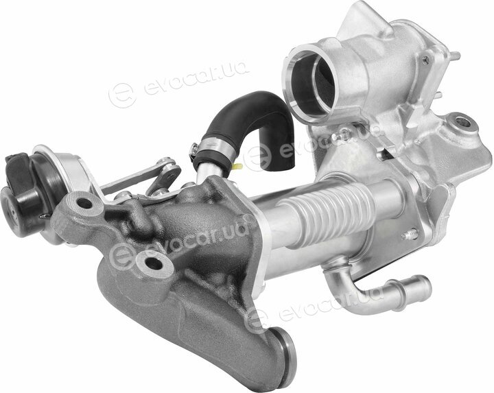 Wahler / BorgWarner 790965D