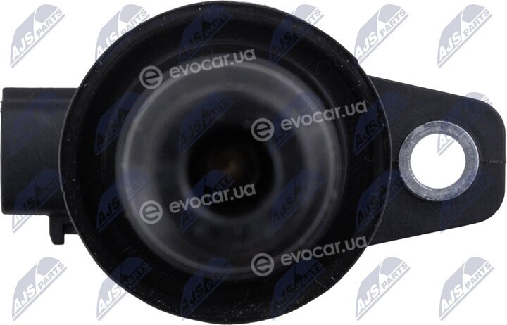 NTY ECZ-HY-504