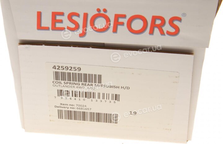 Lesjofors 4259259