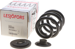 Lesjofors 4295019
