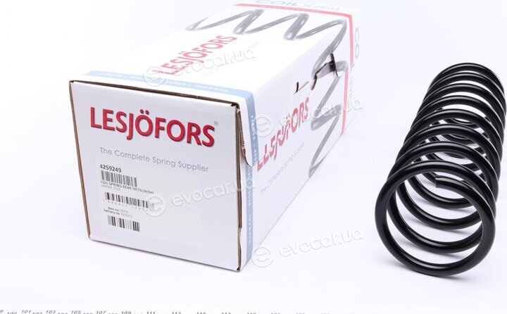 Lesjofors 4259249