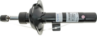 Sachs 290 839