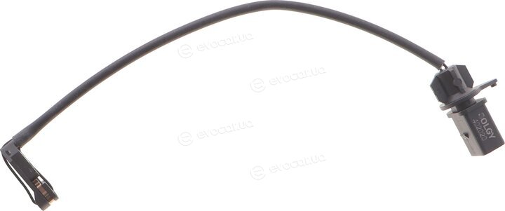 Solgy 402020