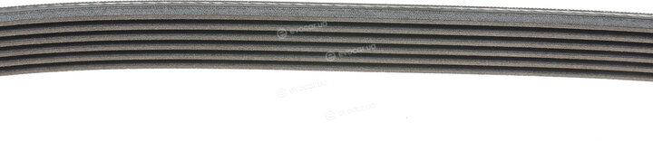 Continental 6PK1270