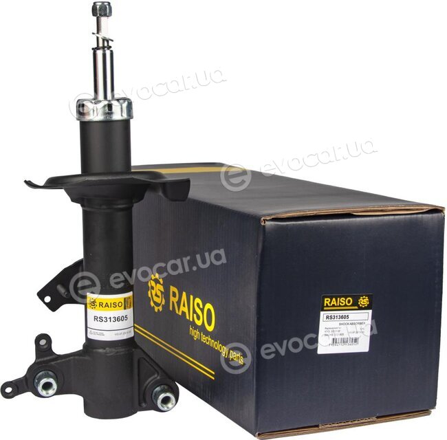 Raiso RS313605