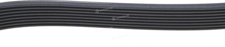 Dayco 8PK1226