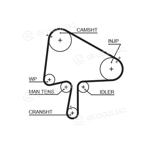 Gates K015596XS