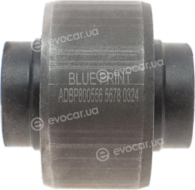 Blue Print ADBP800556