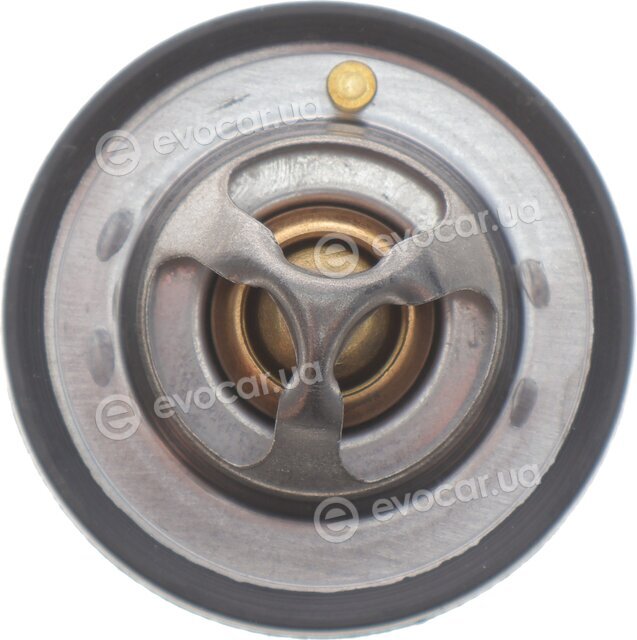 Motorad 647-82K