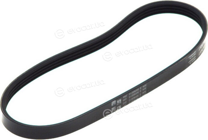 Continental 4PK592 ELAST