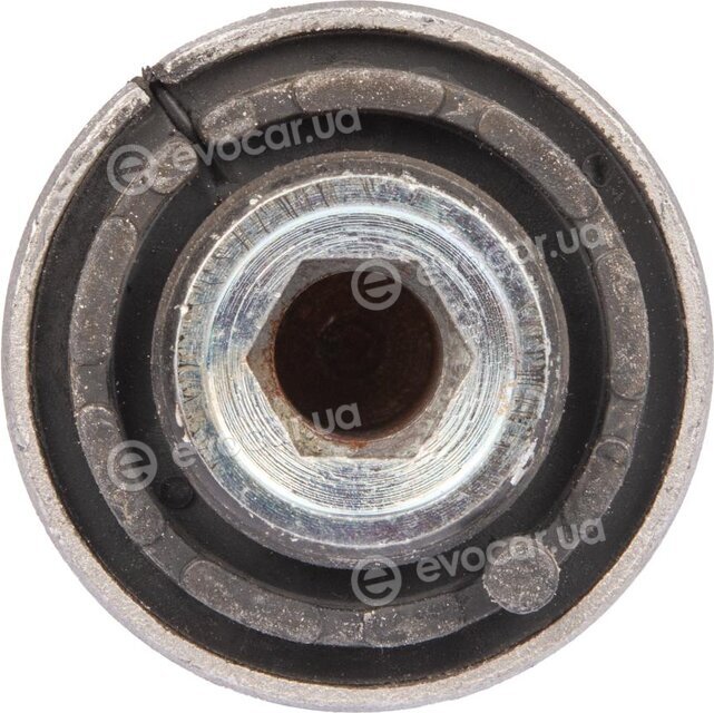 Raiso RL323817M