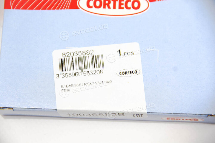 Corteco 19036882B
