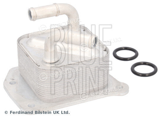 Blue Print ADBP610210