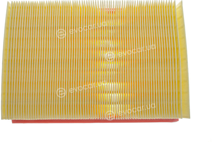 Solgy 103122