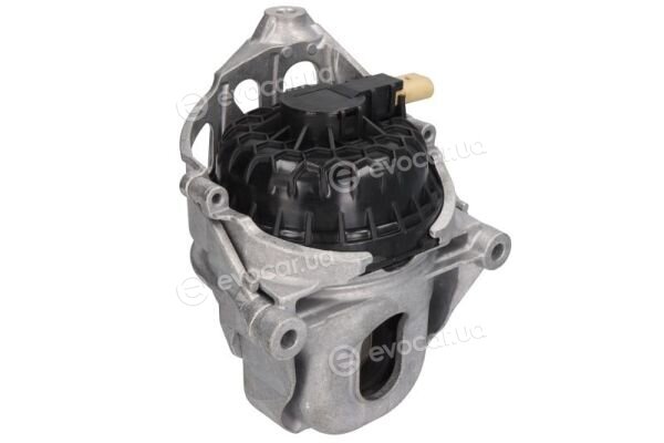 Reinhoch RH11-0173