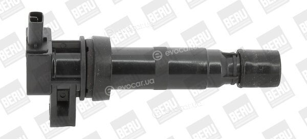 Beru ZS531