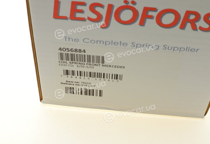 Lesjofors 4056884