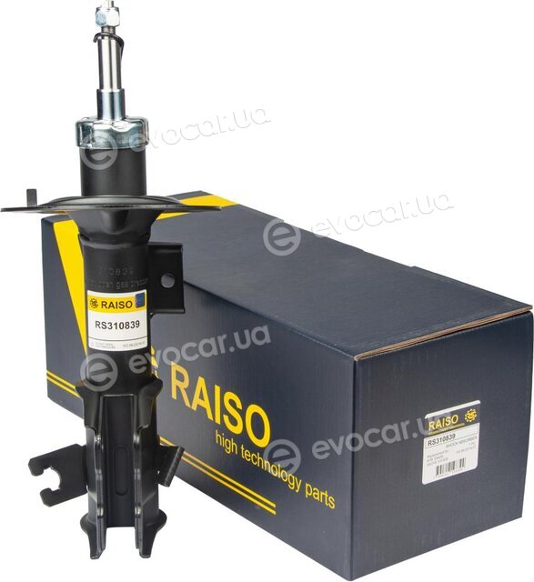 Raiso RS310839