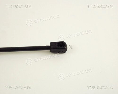 Triscan 8710 29231