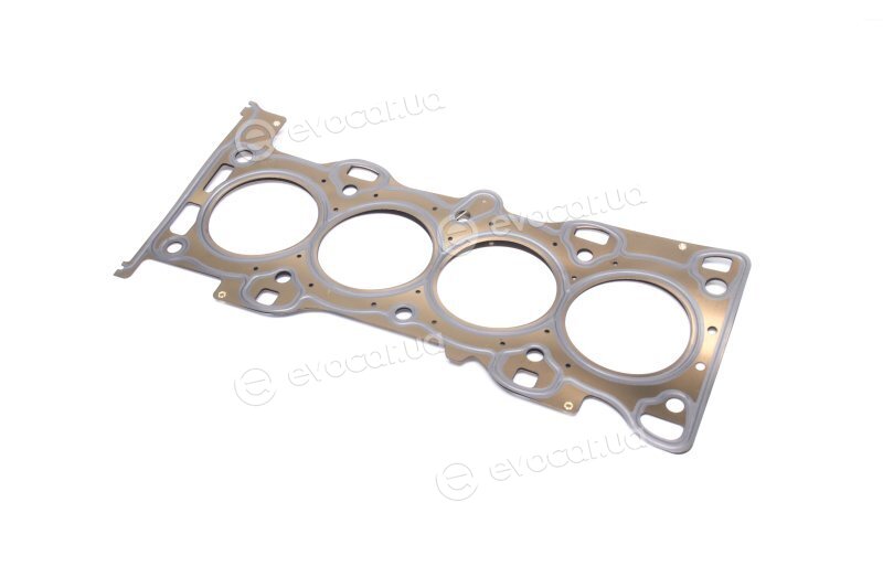 Elring 255.060