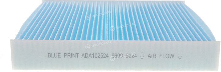 Blue Print ADA102524