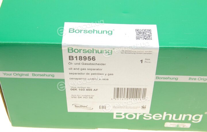 Borsehung B18956