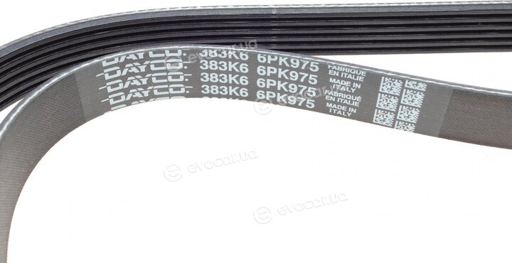 Dayco 6PK975