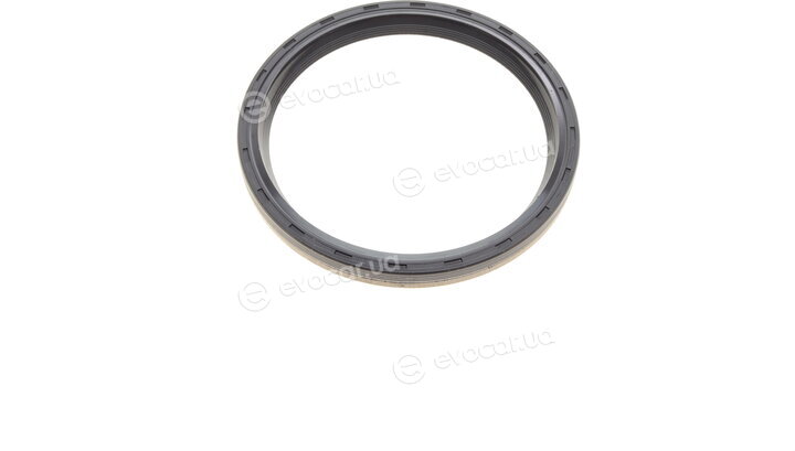 Elring 492.060